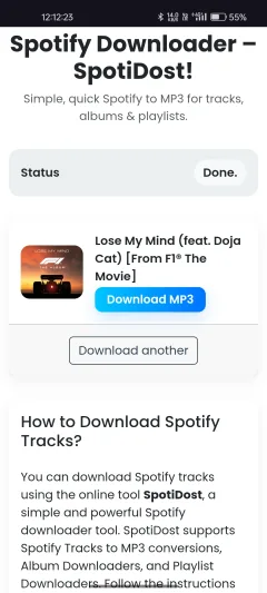 View Spotify Result